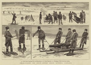 Simulacro de combate con raquetas de nieve cerca de Quebec, Canadá